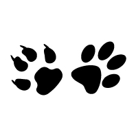 SPECIFIC CXD-M Adult Medium Breed 4 kg