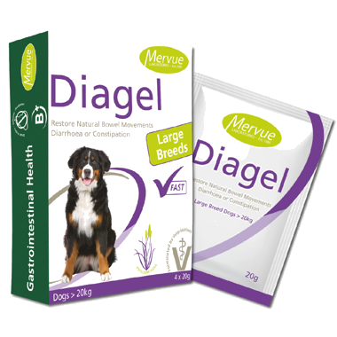 Diagel pro velké psy