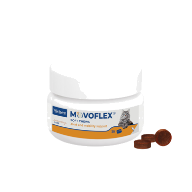 Movoflex Cat